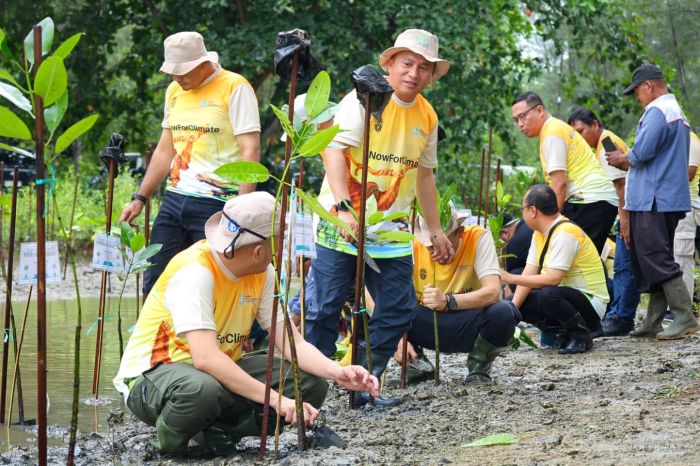 Aksi Bersih Pantai IKN Kumpulkan 202,7 Kg Sampah dan Tanam 350 Bibit Mangrove Aksi Bersih Pantai IKN Kumpulkan 202,7 Kg Sampah dan Tanam 350 Bibit Mangrove