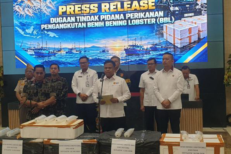 Bareskrim Ungkap Penampungan Benih Lobster Ilegal di Depok, Kedok Toko Buah