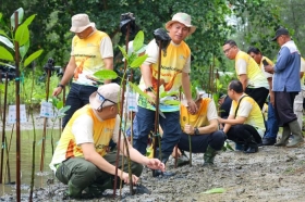 Aksi Bersih Pantai IKN Kumpulkan 202,7 Kg Sampah dan Tanam 350 Bibit Mangrove
