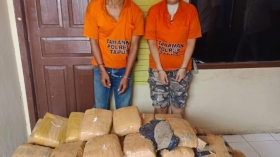Kecelakaan di Tapanuli Utara Bongkar Pengiriman 112 Kg Ganja, Dua Kurir Diamankan