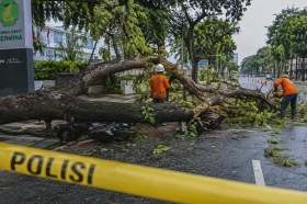 Pohon Asam Tua Tumbang di Semarang, Suami Istri Tewas