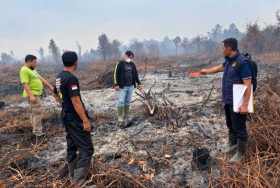 Polisi Naikkan Kasus Pembakaran Lahan Anggota DPRD Mempawah ke Penyidikan