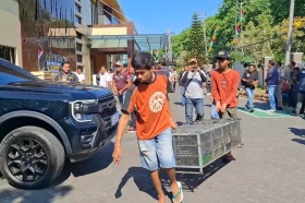 3.394 Burung Asal Vietnam Diduga Diselundupkan ke Sidoarjo, Dua WNA Jadi Tersangka
