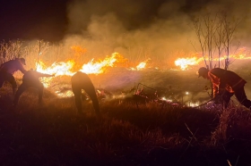 Kebakaran di Kawasan Bromo Tewaskan Tiga Petugas, Tiga Orang Alami Luka Bakar